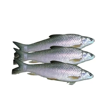 Bata Fish (7-8 pcs)